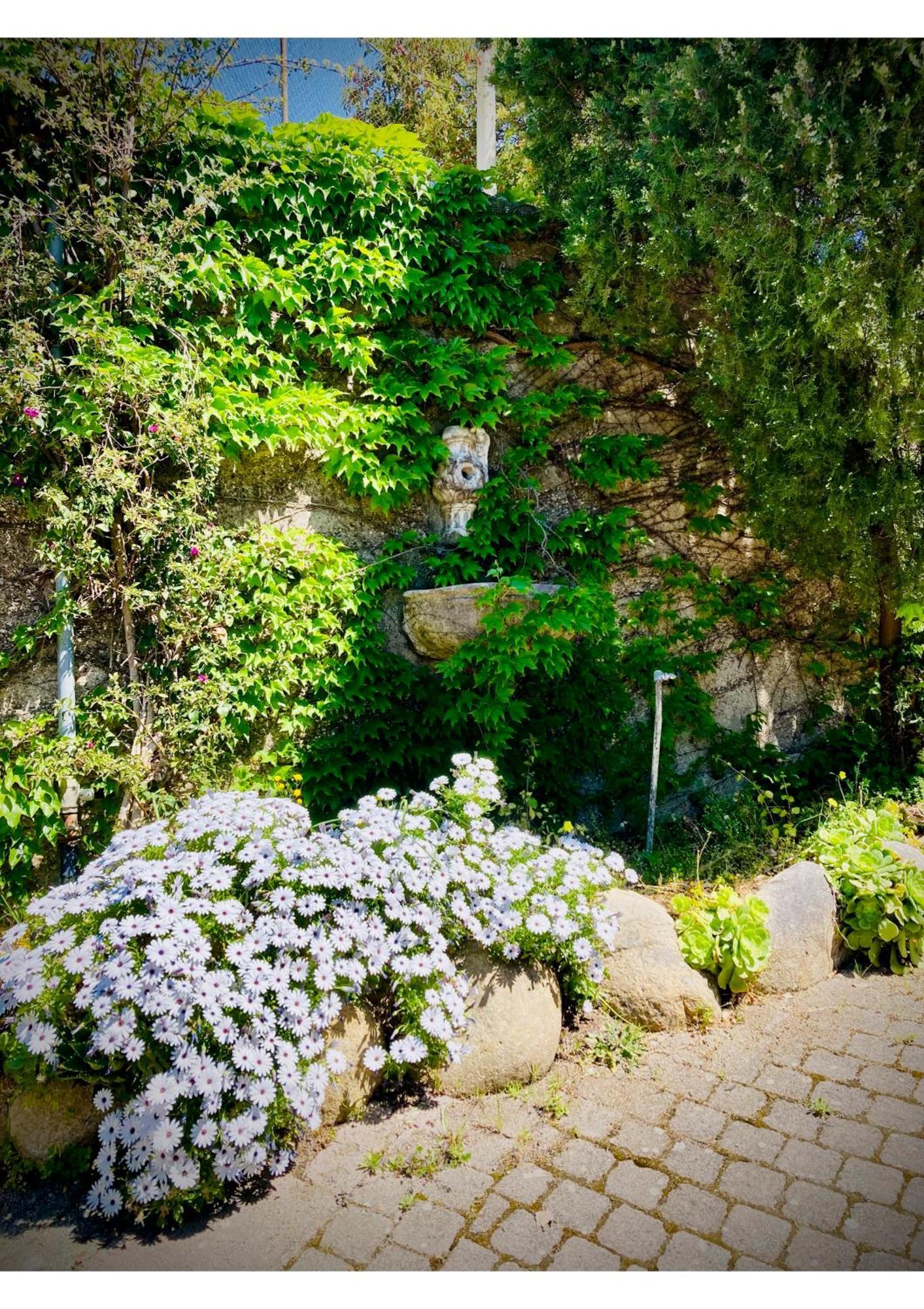 Villa Scilla E Cariddi Messina Luaran gambar