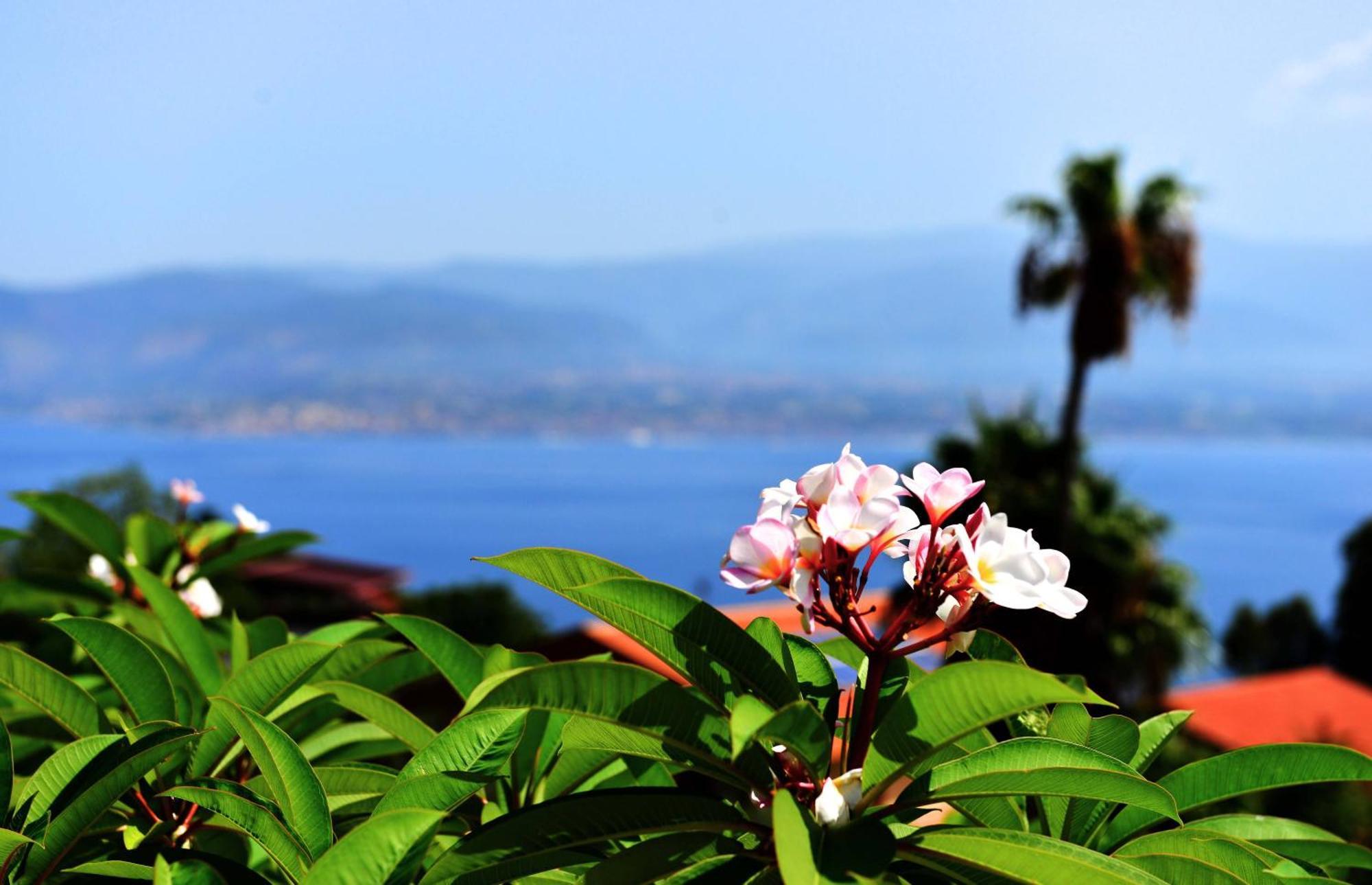 Villa Scilla E Cariddi Messina Luaran gambar