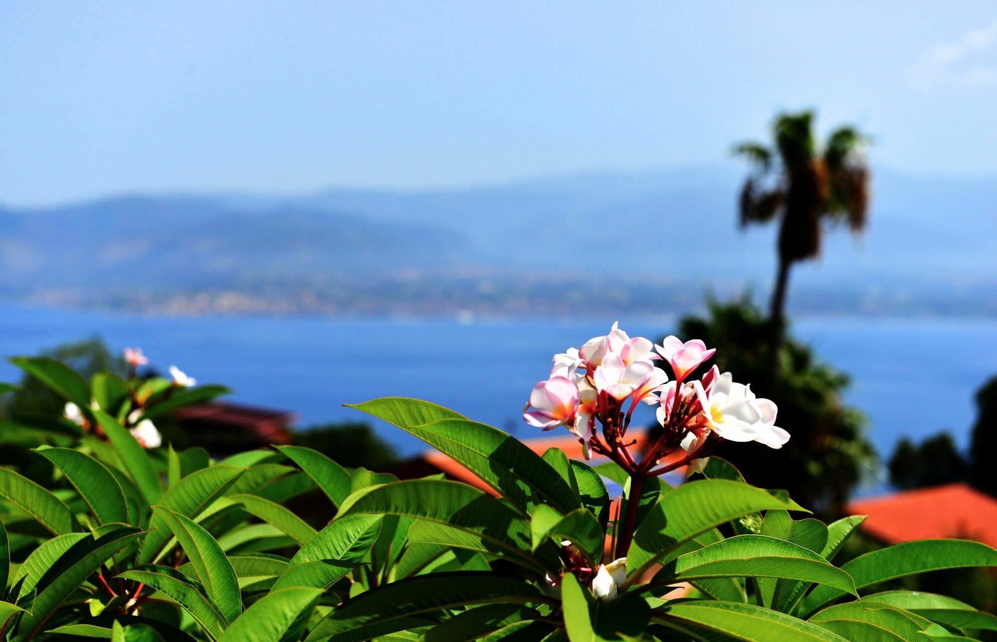 Villa Scilla E Cariddi Messina Luaran gambar